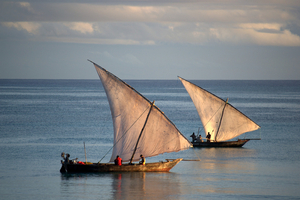 L'expérience des dhows : une escapade sur un voilier millénaire