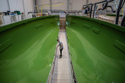 Nautisme Article