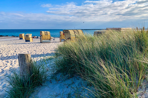 La Baltique, une mer malade en quête de remèdes