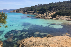 A Port-Cros, la plus vieille aire marine protégée d'Europe 