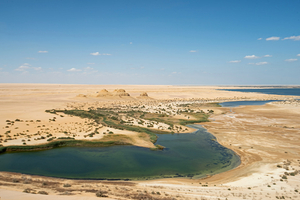 Fayoum Oasis : trésor égyptien méconnu