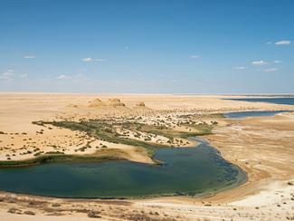 Fayoum Oasis : trésor égyptien méconnu