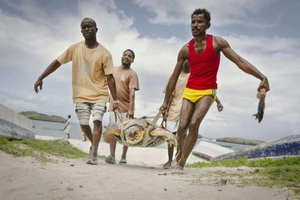 Sur la côte kényane, la petite ONG qui sauve les tortues par milliers