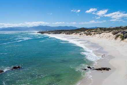 Gansbaai beach
