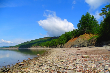 Parc national de Miguasha