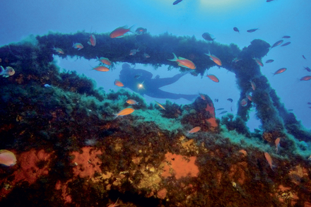 Spot de plongee «Le Rubis»