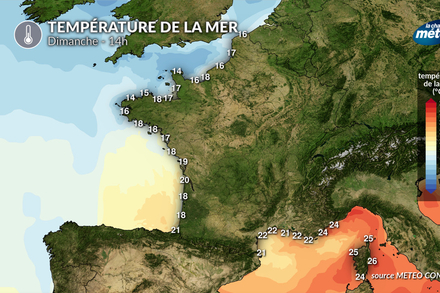 Temperature de la mer dimanche