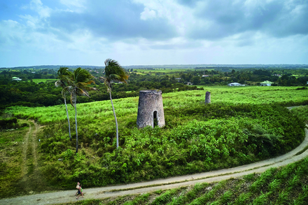 Marie-Galante et ses moulins