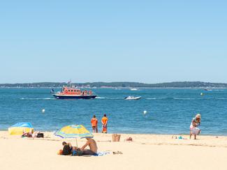 Sauveteurs en mer et surveillants de plage :...