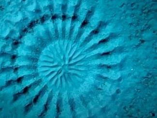 Le secret des crop circles sous-marins