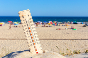 Températures records : quel impact sur les mers et les zones côtières ?