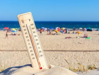 Températures records : quel impact sur les...