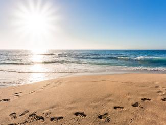 Canicule marine : les effets alarmants de la...