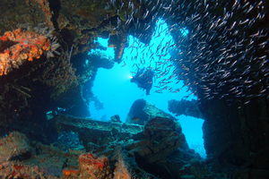 Les plus beaux spots de plongée des BVI