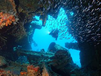 Les plus beaux spots de plongée des BVI