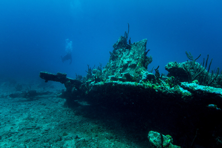 Nautisme Article