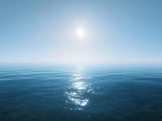 Canicule marine précoce en Méditerranée : des...