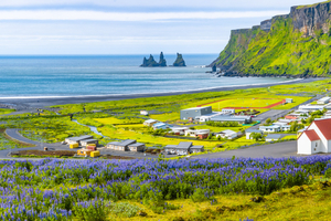 Et si on partait en Islande cet été ?