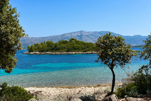 La mer Méditerranée a connu des canicules d'une 