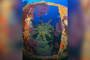 La Méditerranée : un oasis de vie