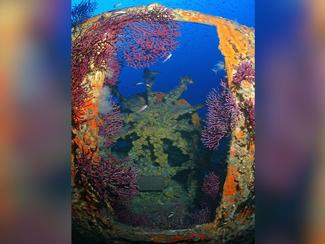 La Méditerranée : un oasis de vie