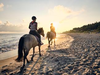 Les plus belles balades à cheval sur le littoral