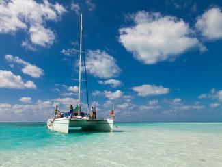 Sécheresse, chaleur : quelles conséquences...