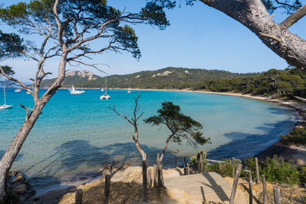 Plage Notre-Dame - Porquerolles Plage Notre-Dame - Porquerolles