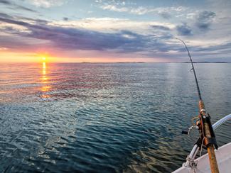 Pêche et écologie : comment être un pêcheur...