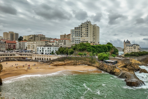 Une plage de Biarritz interdite à la baignade en raison d'une algue toxique