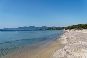 Cavalaire-sur-Mer : des sangliers en balade au milieu des vacanciers sur la plage