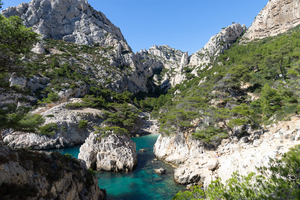 Calanques de Marseille : l’accès sous haute surveillance cet été
