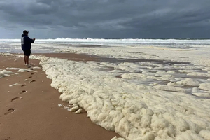 L'Australie fait face à la prolifération d'une algue toxique sur sa côte sud