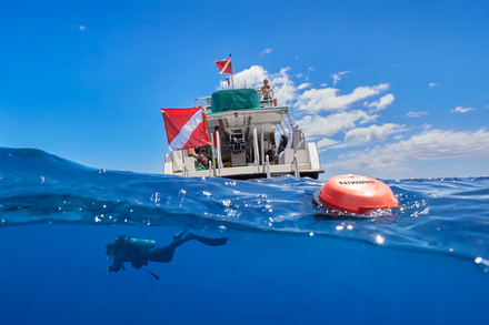 Nautisme Article