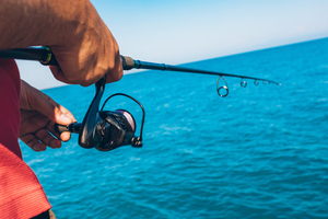 La pêche du lieu jaune : les astuces d'expert pour sortir du lot
