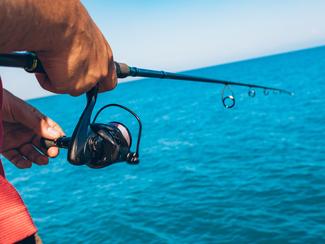 La pêche du lieu jaune : les astuces d'expert...