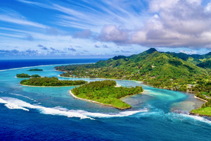Aux îles Cook, la menace des étoiles de mer sur le corail