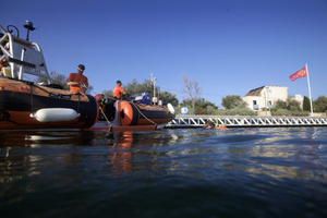 Des hippocampes dans le port de plaisance de Frontignan : une surprise inattendue sous la surface