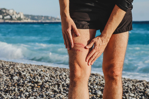 Qui pique en mer ? Le grand quiz des petites bêtes