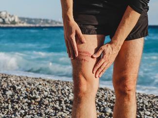 Qui pique en mer ? Le grand quiz des petites bêtes