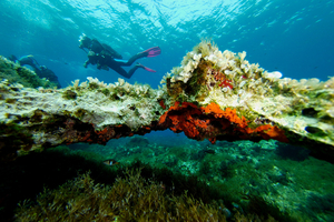 Plongée et tourisme : ces villes européennes où combiner découvertes sous-marines et visites culturelles