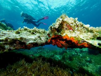 Plongée et tourisme : ces villes européennes...