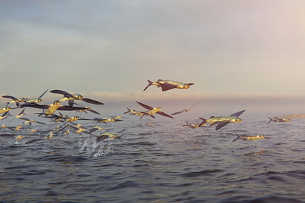 Nautisme Article
