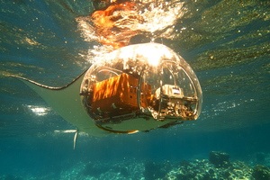 Biomimétisme naval : quand la mer murmure aux architectes navals