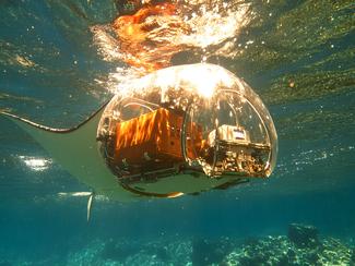 Biomimétisme naval : quand la mer murmure aux...