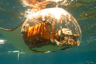 Biomimétisme naval : quand la mer murmure aux architectes navals