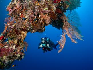 Seychelles : une alliance inédite pour...