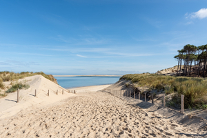 Top 5 des plus belles plages du Bassin d’Arcachon