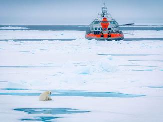 Tara Polar Station réussit sa première dérive...