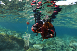Garder vivante la pêche côtière